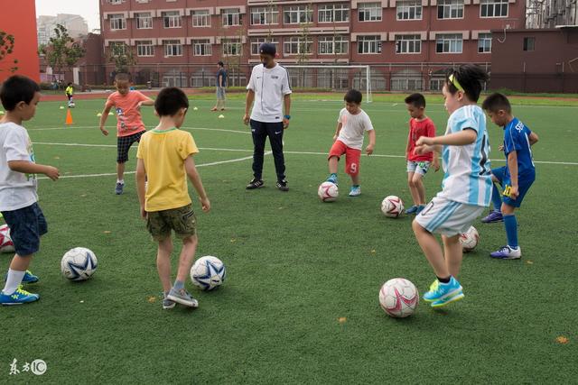 徐梦桃等4名女运动员获全国三八红旗手称号